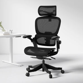 H1 Classic V3 Ergonomic Office Chair