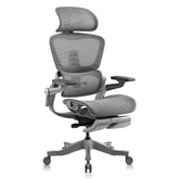 Hinomi H1 Pro Ergonomic Office Chair