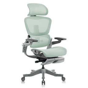 Hinomi H1 Pro Ergonomic Office Chair