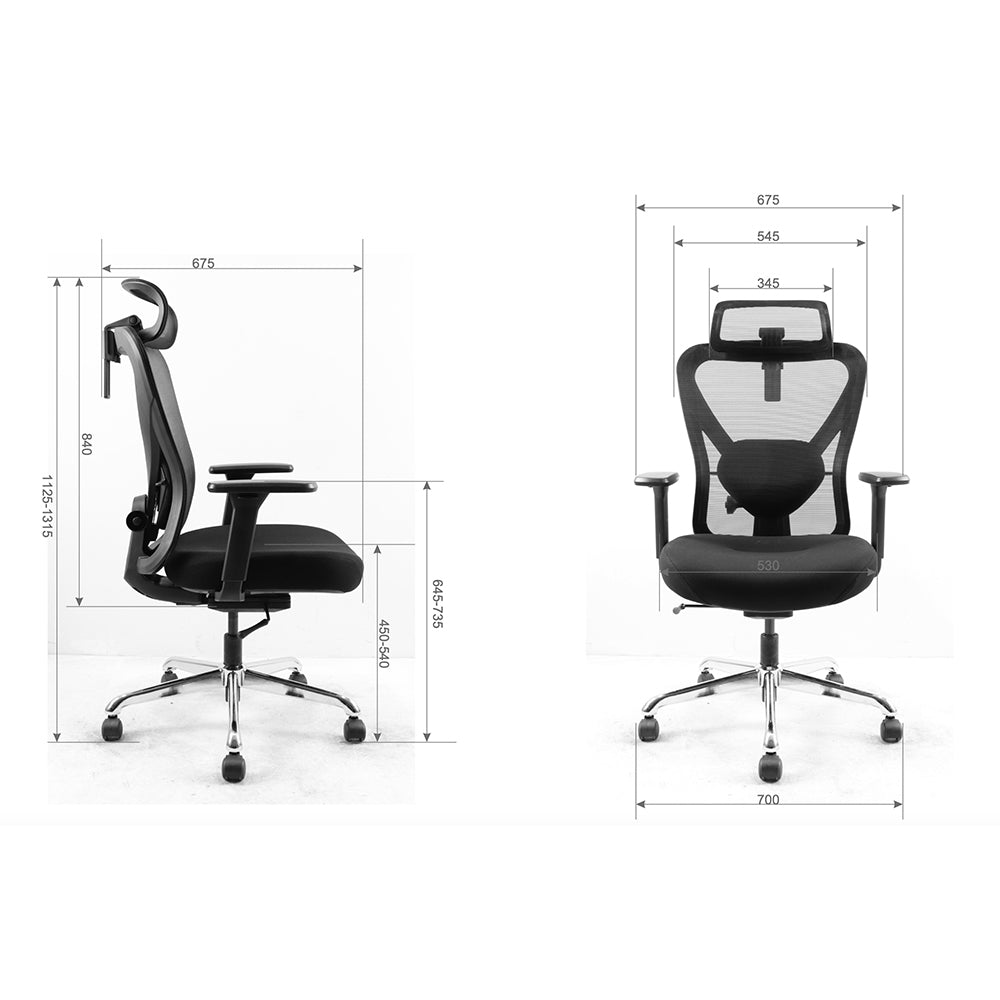 Q1 Ergonomic Office Chair