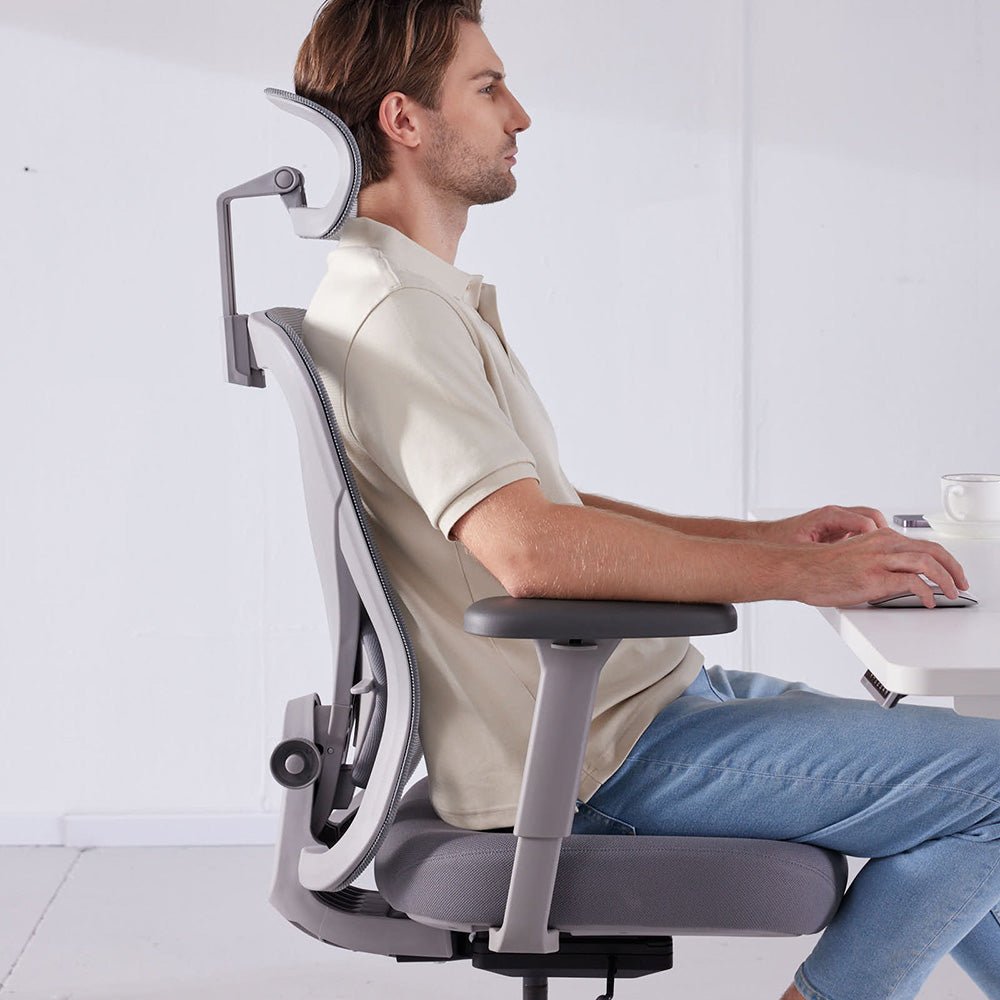 Q1 Ergonomic Office Chair