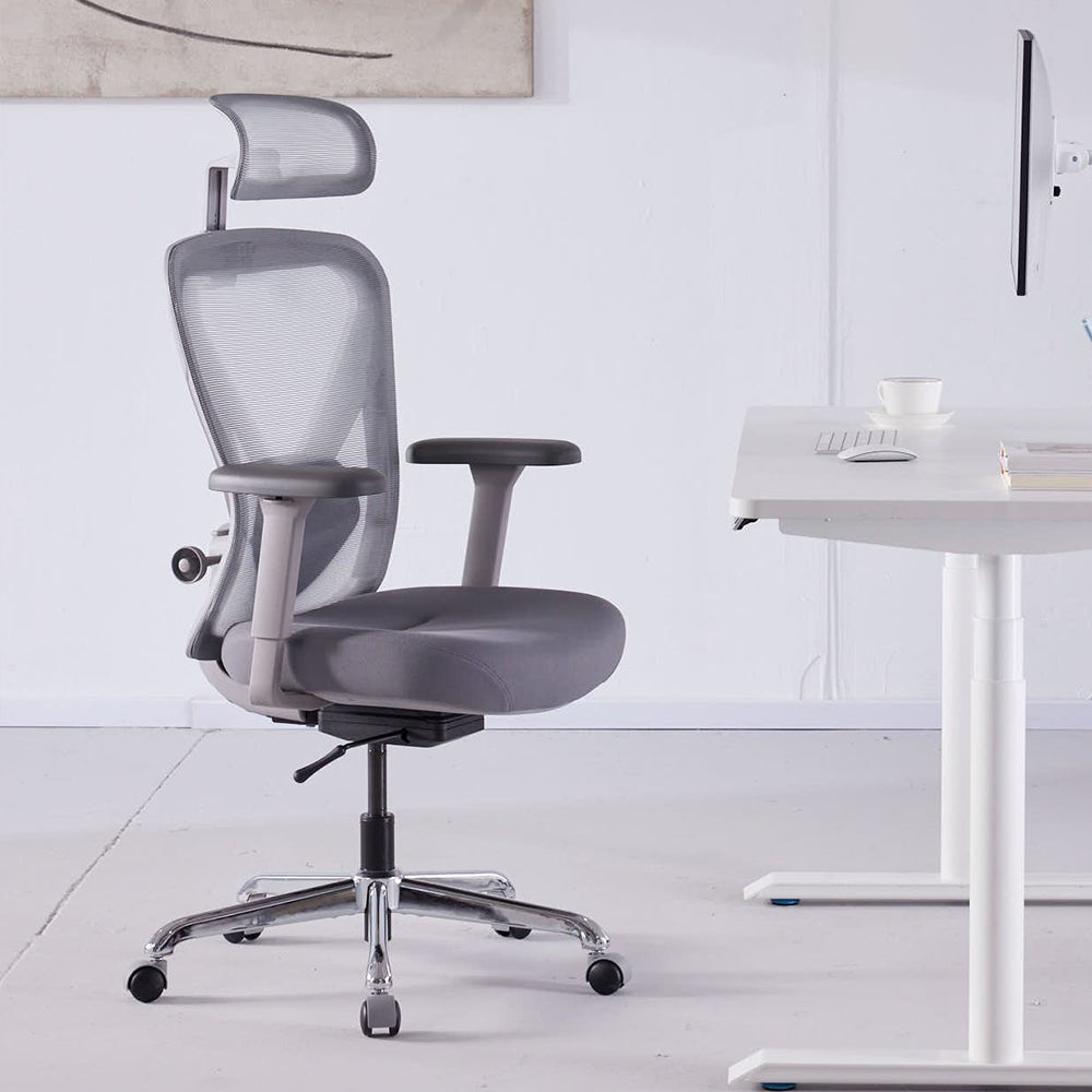 Q1 Ergonomic Office Chair