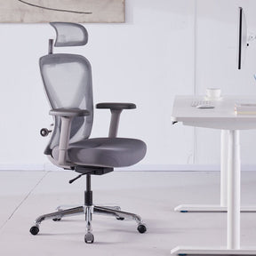 Q1 Ergonomic Office Chair