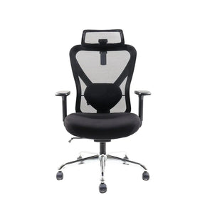 Q1 Ergonomic Office Chair