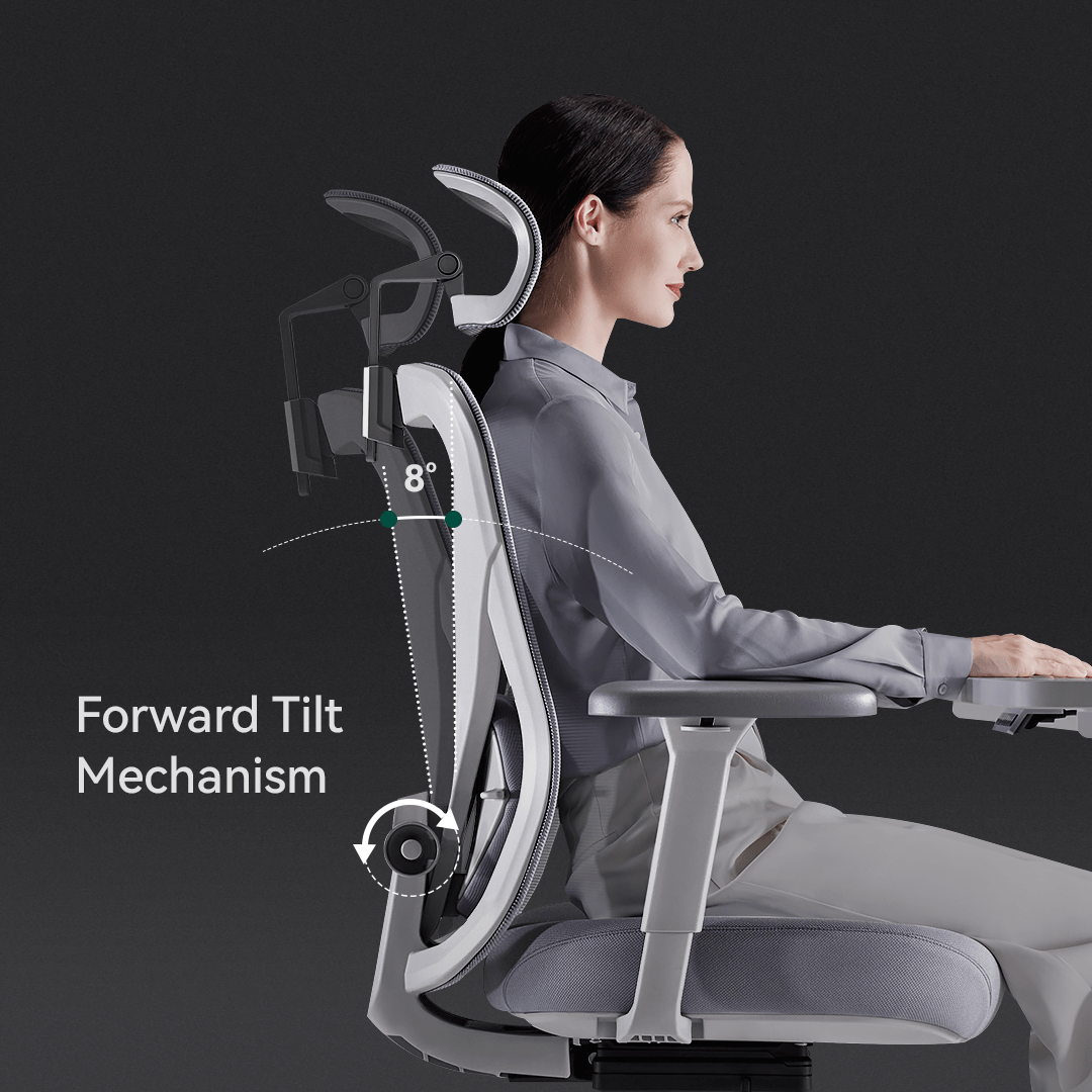 Q1 Ergonomic Office Chair