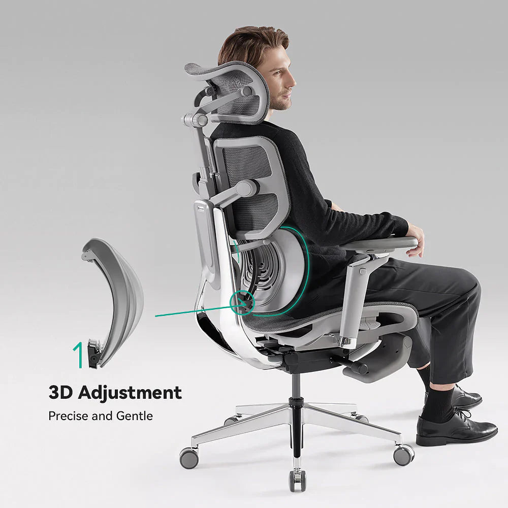 HINOMI X1 Ergonomic Chair: Robust Design, Supreme Comfort